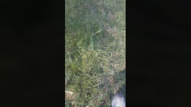 durodotato  13-03-2022